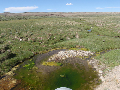 Creek crossing that has water.